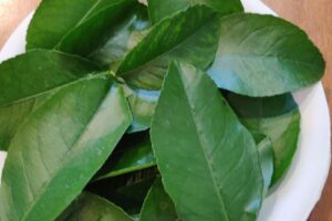 Beneficios de las hojas de limón hervidas: Remedio natural para caries, mal aliento y 10 problemas de salud