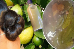 “Tónico capilar con romero, jengibre y hojas de guayaba para frenar la caída”